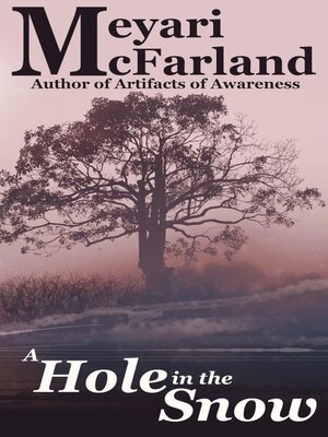 cover image of A Hole in the Snow